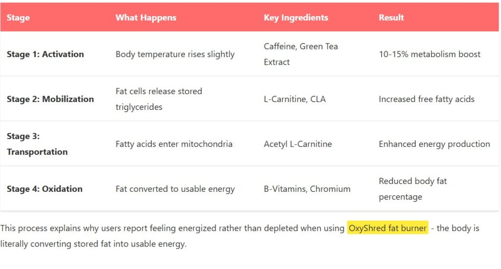 Oxyshred fat burner